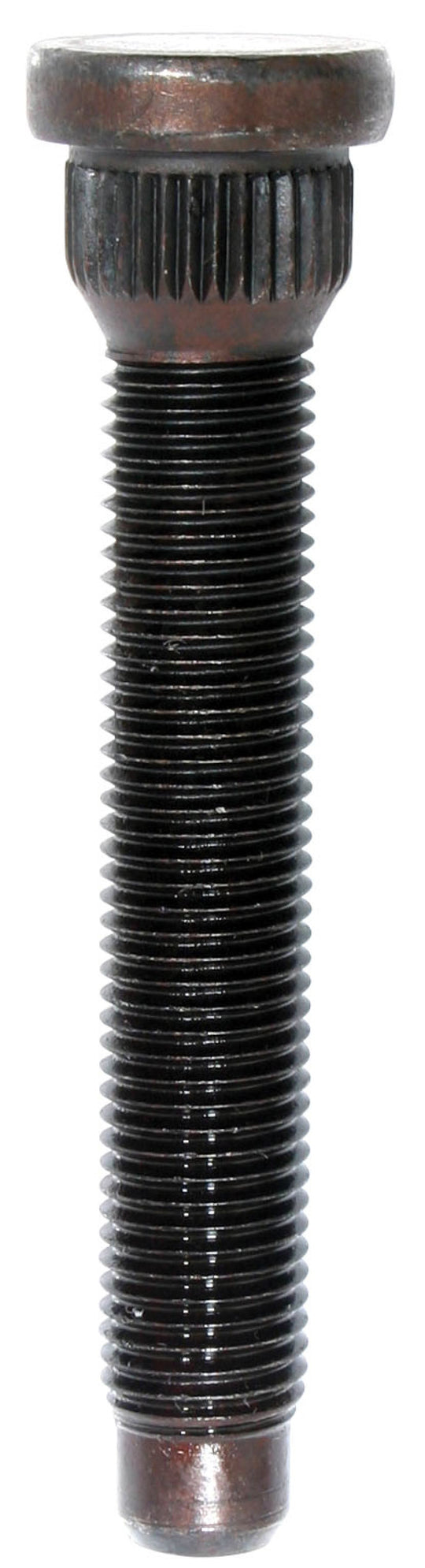 Moroso press-in wheel studs, 7/16 inch by 2-7/8 inch, set of 5, designed for automotive wheel installation.
