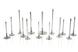 Set of 12 Ferrea BMW N54 valves with 31.5mm diameter, 4.97mm stem, 106.8mm length, 24° taper, stainless steel construction.