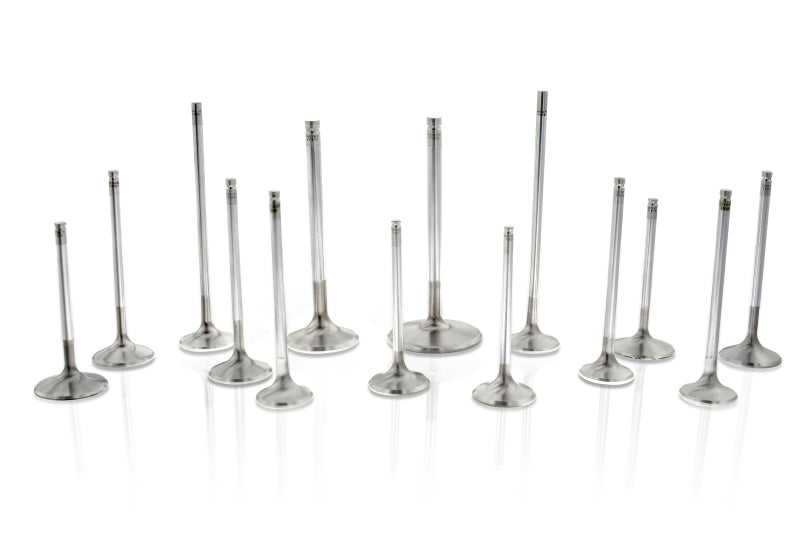 Set of 12 Ferrea BMW N54 valves with 31.5mm diameter, 4.97mm stem, 106.8mm length, 24° taper, stainless steel construction.