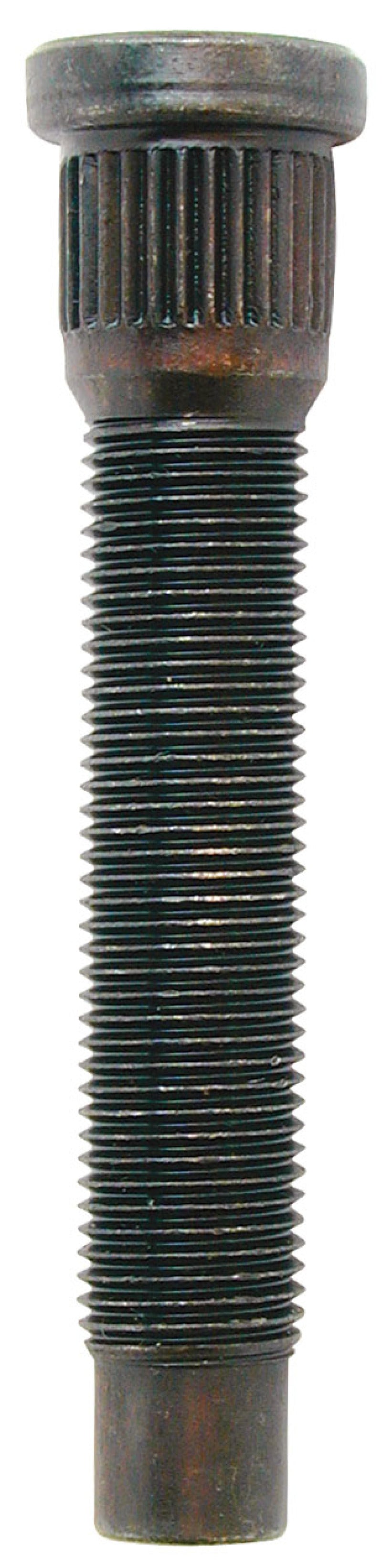 Moroso press-in wheel studs, 1/2 inch-20 x 3 inches, shown in a 5-pack for automotive wheel installation.