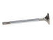 Manley Performance Ford Coyote 5.0L Gen III Race Master Series intake valves, 1.485-inch diameter, for high-performance engine rebuilds.