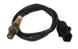 Innovate LSU4.9 O2 Sensor by Innovate Motorsports, a Bosch oxygen sensor for automotive exhaust systems.