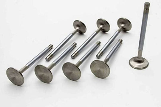 Set of eight Manley Performance Ford Coyote 5.0L DOHC Race Master valves with 38mm head and 5.96mm stem for high-performance engines.