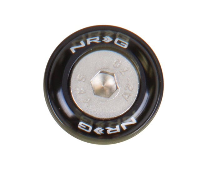 NRG black fender washer kit with rivets for metal, set of 10, automotive hardware kit for vehicle body installation.
