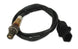 Innovate LSU4.9 O2 Sensor by Innovate Motorsports, a Bosch oxygen sensor with wiring and connector visible.