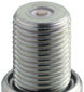 Set of four NGK racing spark plugs in a box, designed for high-performance automotive engines
