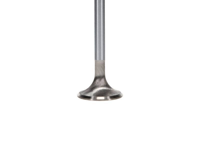 Set of Manley Performance Ford Coyote 5.0L Gen III Race Master Series intake valves with 1.485-inch diameter, precision-engineered for performance.