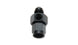 Vibrant -4AN male to female union adapter fitting with 1/8in NPT port, shown in close-up for automotive or plumbing applications.