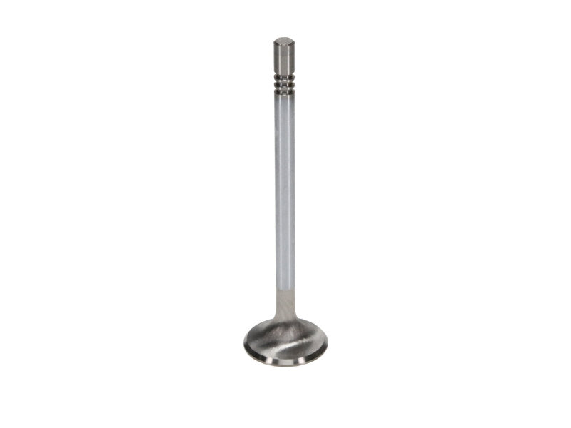 Manley Performance Ford Coyote 5.0L Gen III Race Master Series intake valve set with 1.485-inch diameter, high-performance engine valves