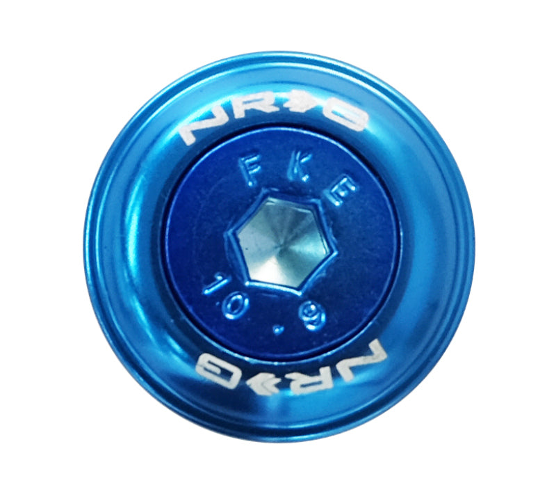 NRG blue fender washer kit with M6 bolt rivets for plastic, includes 10 hardware pieces for automotive body work.