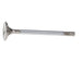 Manley Performance Ford Coyote 5.0L Gen III Race Master Series intake valves, 1.485-inch diameter, set for high-performance engines.