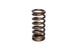 COMP Cams valve spring with 0.970-inch inner diameter, designed for high-performance engine valve springs and retainers.