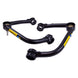 Bilstein Chevrolet Silverado 1500 front upper control arm kit with control arms for 2019-2021 models, durable automotive suspension parts.