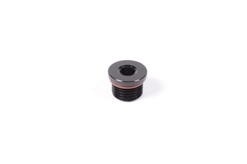 Radium Engineering Universal 10AN Orb Plug fitting, black anodized aluminum with threaded end for automotive fluid connections.