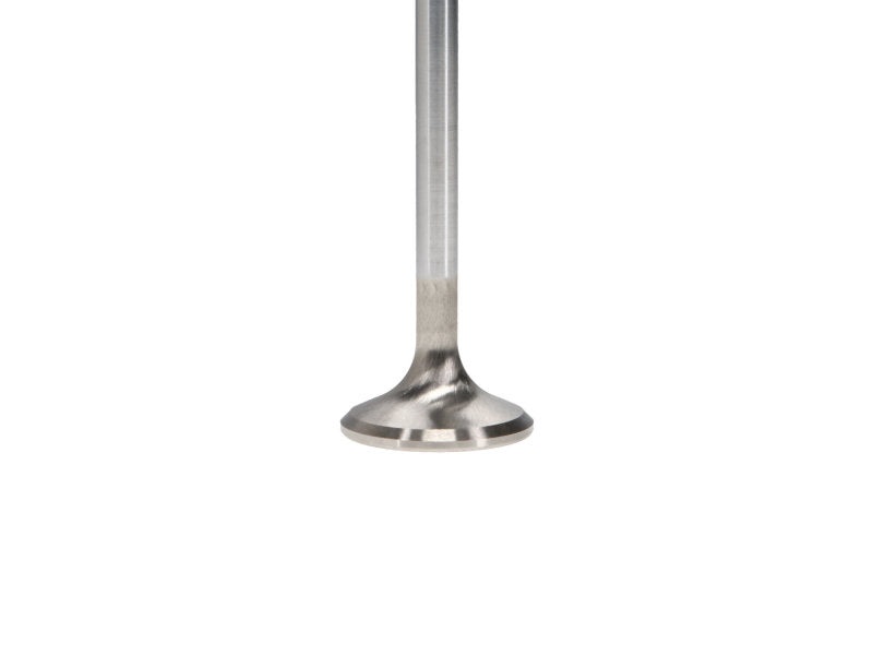 Set of eight Manley Performance Chevrolet LT1 6.2L race master exhaust valves with 1.590-inch head diameter, designed for high-performance engines.