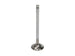 Set of 8 Manley Performance Chevrolet LT1 6.2L race exhaust valves with 1.590-inch head diameter for high-performance engine upgrades.