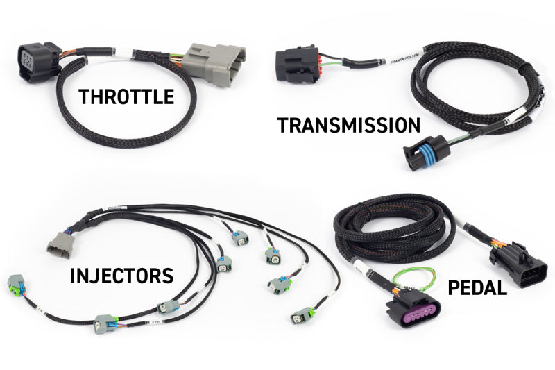 Haltech NEXUS Rebel LS Gen IV 6-pin DBW throttle and EV6 injectors for manual transmission, automotive tuning and programming.