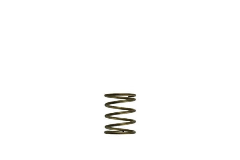 Turbosmart Gen-V WG45/50 orange wastegate spring with 3psi inner spring for turbocharger boost control.