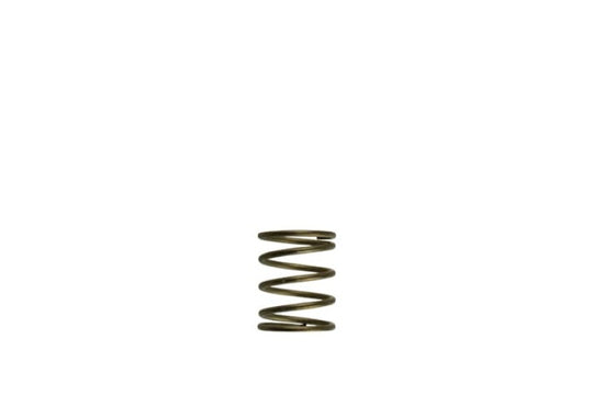Turbosmart Gen-V WG45/50 orange wastegate spring with 3psi inner spring for turbocharger boost control.