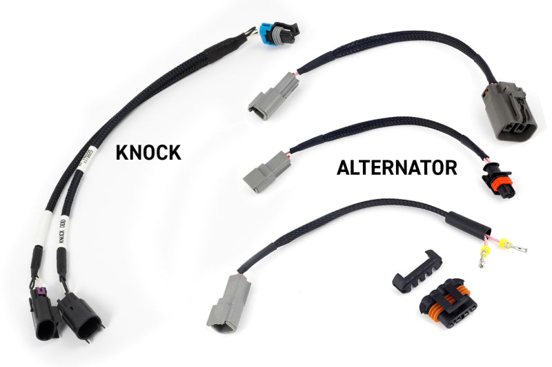 Haltech NEXUS Rebel LS Gen III cable for throttle and EV1 injectors, designed for manual transmission cars.