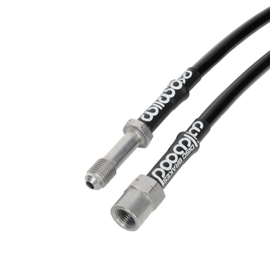Wilwood rear brake line kit for BMW 330Ci and M3 (2001-2006), flexible brake line set with fittings.