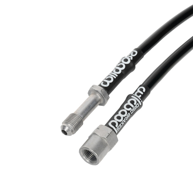 Wilwood rear brake line kit for BMW 330Ci and M3 (2001-2006), flexible brake line set with fittings.